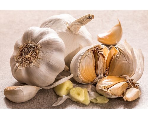 garlic-3419544_1920
