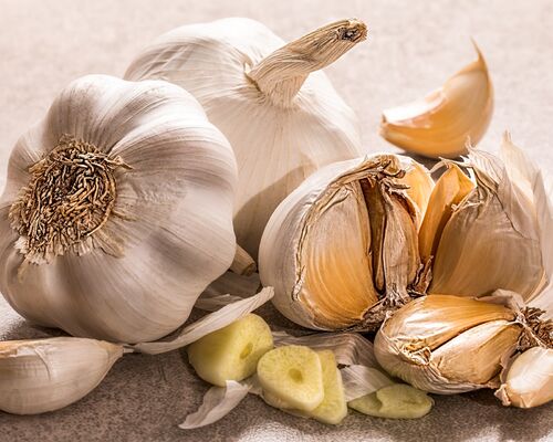 garlic-3419544_1920